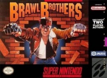Brawl Brothers Rom